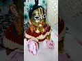 chadha krishna ka rang radha krishna bhajan shortsfeed trendingshorts love comedy laddu bhajansong