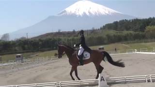 御殿場馬場馬術競技大会part1 2018　学生賞典　デアファースト　惣田雄一