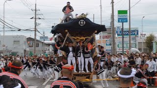 八田荘だんじり祭2024 本宮 - 午後曳行/新道パレード | 令和6年10月19日