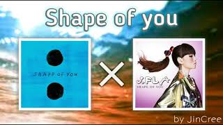 Ed Sheeran X J.fla - Shape of you (Duet ver.) | JinCree