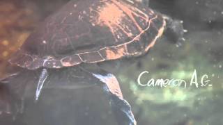Cameron Ag - Lost Direction