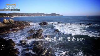 테마스페셜-울산 소리길을 걷다 예고