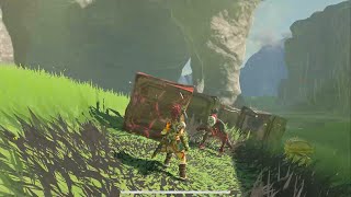 Trolling the Yiga, #1