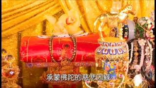 2014年國際供佛齋僧大會(上午)_26長老尼代表致詞(普暉長老尼)