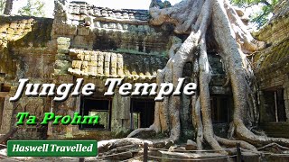 Jungle Temple Ta Prohm in Angkor Archeological Park - Siem Reap, Cambodia
