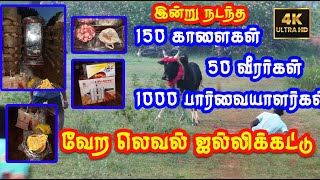 இன்று நடந்த லெவல் ஜல்லிக்கட்டு... 150 காளைகள் 50 வீரர்கள் 1000 பார்வையாளர்கள்... Tamizhan Trending