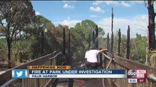 Officials investigate Walsprings park fire