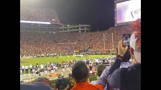 IronBowl 2019 - A Lonely Tide Fan  in the Middle of a Sea of Orange!