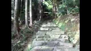 山口県　美祢市美東町　権現様