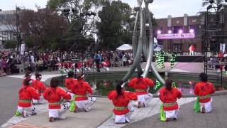 愛知淑徳大学　鳴踊（四日市よさこい2014）本祭・メイン会場