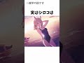 【ブルアカ】シロコに関する雑学 ブルアカ ブルーアーカイブ shorts