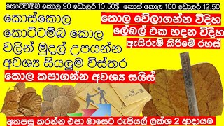 කොට්ටම්බ කොල කොස් කොල වලින් මුදල් උපයන්න අවශ්‍ය  කොල කපන සයිස් ලෙබල් හදන විදිහ ඇසුරුම් කරන විදිහ තැ