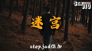 step.jad依加- 迷宫『都怪我没看懂 你的眼神太闪躲 心思猜不透 走不出你心里的迷宫』【動態歌詞Lyrics】2023热门歌曲 | 2023新歌推送 | 抖音十大热门歌曲|最火最热门洗脑抖音歌曲