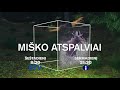 misko atspalviai 1023 fb 22