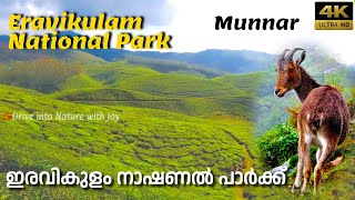 Eravikulam National Park in Munnar | Rajamala | Top Tourist Destination in Munnar | Jan 2023