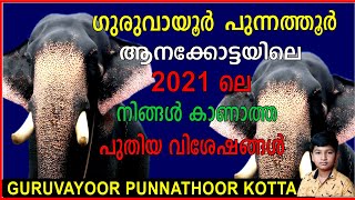 GURUVAYOOR ANAKKOTTA /ഗുരുവായൂർ  ആനക്കോട്ടയിലെ 2021ലെ നിങ്ങൾ കാണാത്ത അത്ഭുത കാഴ്ചകൾ