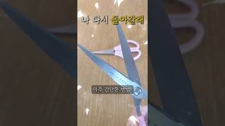 ✂️끈적이고 녹슨 가위 🌸이렇게🌸 하면 새 가위로 변신!