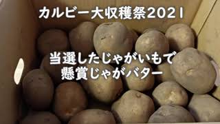 カルビー大収穫祭2021のじゃがいもでじゃがバター