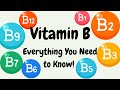 B Vitamins: Everything You Need to Know!