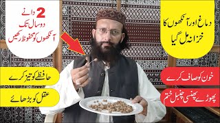 Sphaeranthus Indicus ► گل منڈی صحت کا خزانہ ► Introduction to Herbal