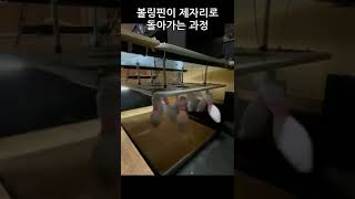 볼링핀이 제자리로 돌아가는 과정