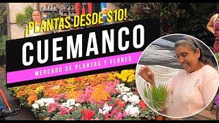 🌷 ¡Plantas y Flores desde $10! 🌼 🪴 Visitamos el Mercado de Plantas y Flores de Cuemanco