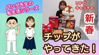 【夫婦でUFOキャッチャー】ホムスタのクレーンゲームでチップのぬいぐるみやお菓子をゲット！【鍼灸マッサージあさみ】