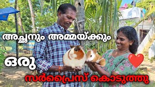 ദൈവമേ... ഇതെന്നാ എലിയോ??|Surprised Acha \u0026 Amma With Guinea Pig|JIBIS PETS💫