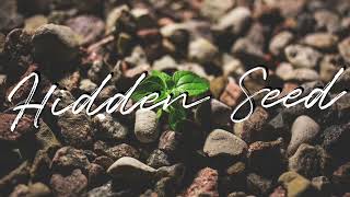 Divine Attraction - Hidden Seed