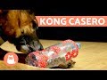 Cómo hacer un KONG casero - Juguetes para perros