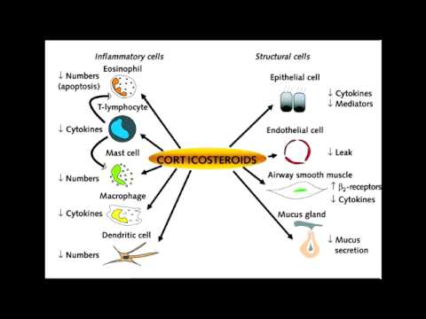 بكلوميثازون - Beclomethasone
