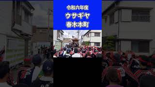 春木だんじり祭 春木本町 難所ウサギヤのやりまわし① #祭 #地車 #danjiri