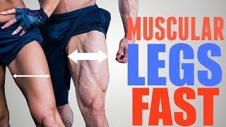 3 Exercises to Get STRONG Muscular Quads FAST