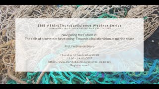 EMB #ThirdThursdayScience Webinar - The cells of ecosystem functioning