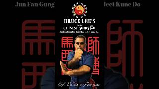 Bruce Lee's Jeet Kune Do/Tao of Chinese Gung Fu
