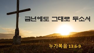 [송년 주일 등주교회] 제목: 금년에도 그대로 두소서(누가복음 13:6~9), 설교: 백성현 담임목사, 2024년 12월 29일(주일)