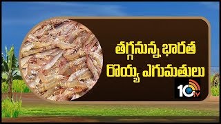 త‌గ్గ‌నున్న భార‌త రోయ్య ఎగుమ‌తులు... | Indian Prawns Exports | 10TV