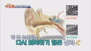 빨간 불이 켜진 현대인의 귀 건강☞ '난청' TV정보쇼 아지트 13회