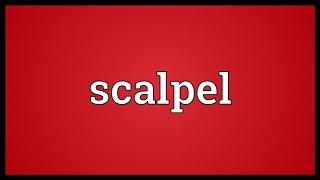 Scalpel Meaning