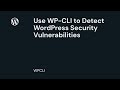 Install and use WP CLI to Scan for WordPress Security Vulnerabilities