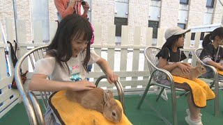 宿泊レジャー施設に移動動物園　岡山・総社市