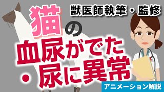 猫の血尿がでた・尿に異常について【獣医師執筆監修】症状から治療方法まで