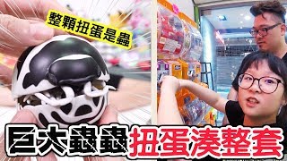 【扭蛋】整顆扭蛋是蟲!?超震憾大王具足蟲扭蛋[NyoNyoTV妞妞TV玩具]