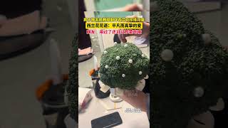 男子按手机教程制作西兰花珍珠花束