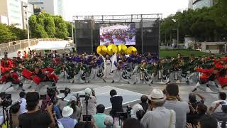 京都よさこい連 心粋（燦々）  2017.8.25にっぽんど真ん中まつり前夜祭 キャンパスバトル