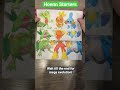 Hoenn Starters #pokemon #shorts