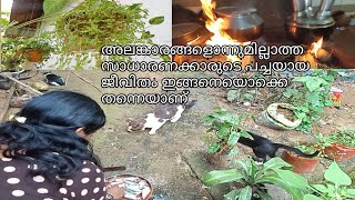 സാധാരണ വീട്ടമ്മയുടെ പച്ചയായ ജീവിതം /day in my life /village lifestyle /village cooking motivation