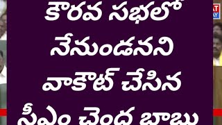 రాష్ట్రంలో ప్రతి ఆడబిడ్డ గౌరవం కాపాడాల్సిన బాధ్యత మనందరి పైన ఉంది - సీఎం చంద్రబాబు | BT