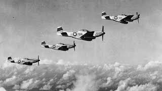 46th Fighter Wing (World War II) | Wikipedia audio article