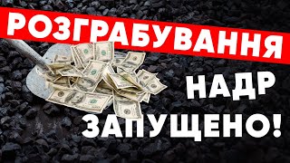 «Батьківщина» вимагає зупинити розпродаж корисних копалин